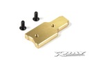 BRASS CHASSIS WEIGHT FRONT 20g XR341184