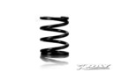 XRAY SPRING-SET C=10.0 - FRONT (2) XR348189