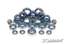 BALL-BEARING SET - RUBBER COVERED FOR XB9 (24) XR359003