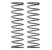 REAR SPRING-SET - 1 DOT (2) XR368284