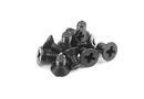 SCREW PHILLIPS M 2.5x4  (10) XR910254