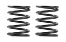 XRAY 3S SPRING-SET C=4.5 (2)