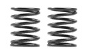 XRAY 3S SPRING-SET C=5.5 (2)