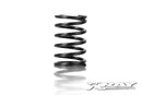 XRAY SPRING-SET C=5.0 - REAR (2)