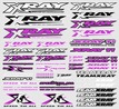 XRAY STICKER FOR BODY - PURPLE